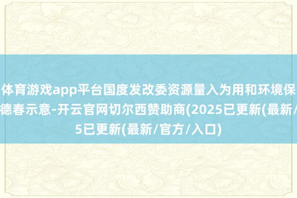 体育游戏app平台国度发改委资源量入为用和环境保护司司长刘德春示意-开云官网切尔西赞助商(2025已更新(最新/官方/入口)