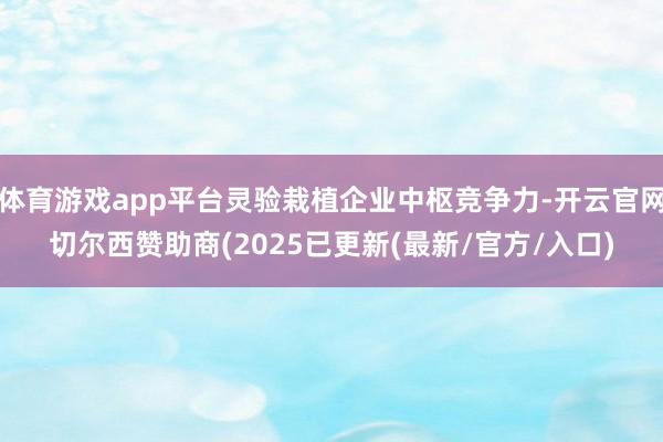 体育游戏app平台灵验栽植企业中枢竞争力-开云官网切尔西赞助商(2025已更新(最新/官方/入口)