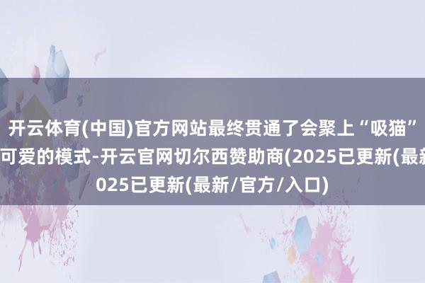 开云体育(中国)官方网站最终贯通了会聚上“吸猫”只是一种抒发可爱的模式-开云官网切尔西赞助商(2025已更新(最新/官方/入口)