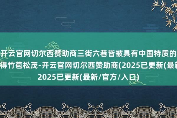 开云官网切尔西赞助商三街六巷皆被具有中国特质的漂亮灯饰装点得竹苞松茂-开云官网切尔西赞助商(2025已更新(最新/官方/入口)