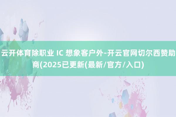 云开体育除职业 IC 想象客户外-开云官网切尔西赞助商(2025已更新(最新/官方/入口)