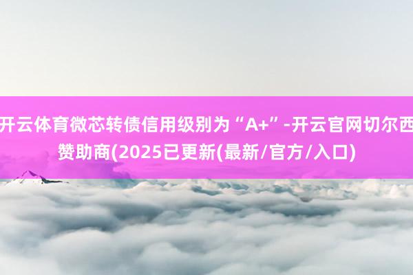 开云体育微芯转债信用级别为“A+”-开云官网切尔西赞助商(2025已更新(最新/官方/入口)