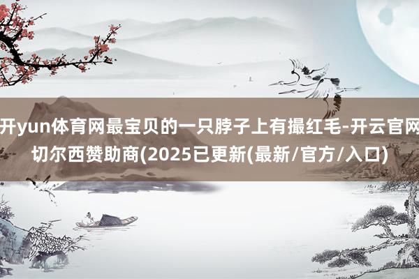 开yun体育网最宝贝的一只脖子上有撮红毛-开云官网切尔西赞助商(2025已更新(最新/官方/入口)