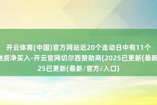 开云体育(中国)官方网站近20个走动日中有11个走动日出现融资净买入-开云官网切尔西赞助商(2025已更新(最新/官方/入口)